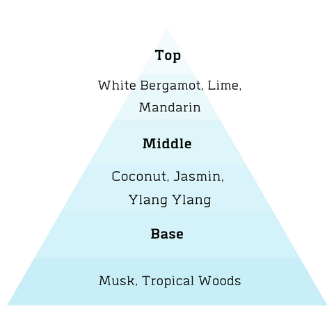 Fragrance Notes. Dupe, Clone, replica, similar to, smell like, knock off, inspired, alternative, imitation.