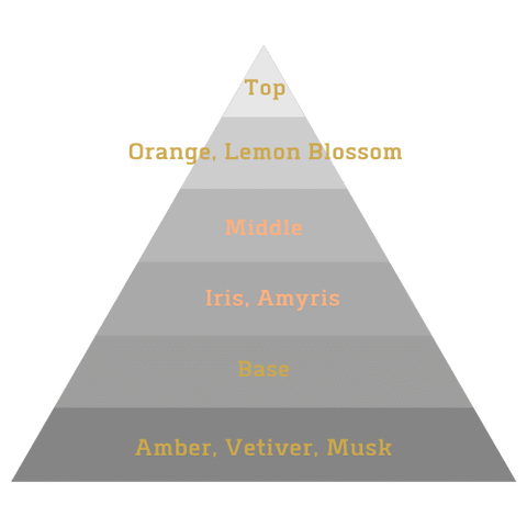 Iris Femme Note Pyramid