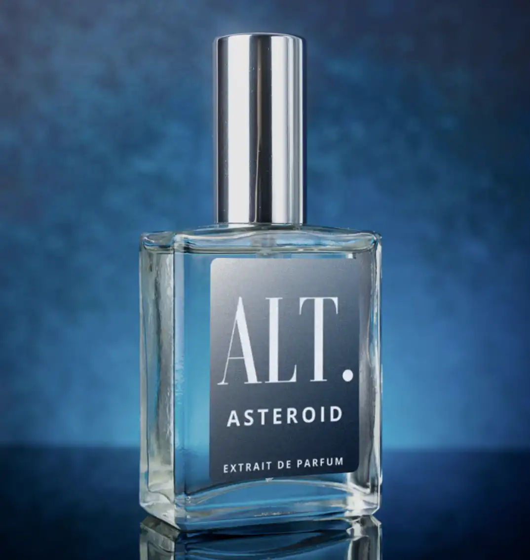 Alternative view of Asteroid